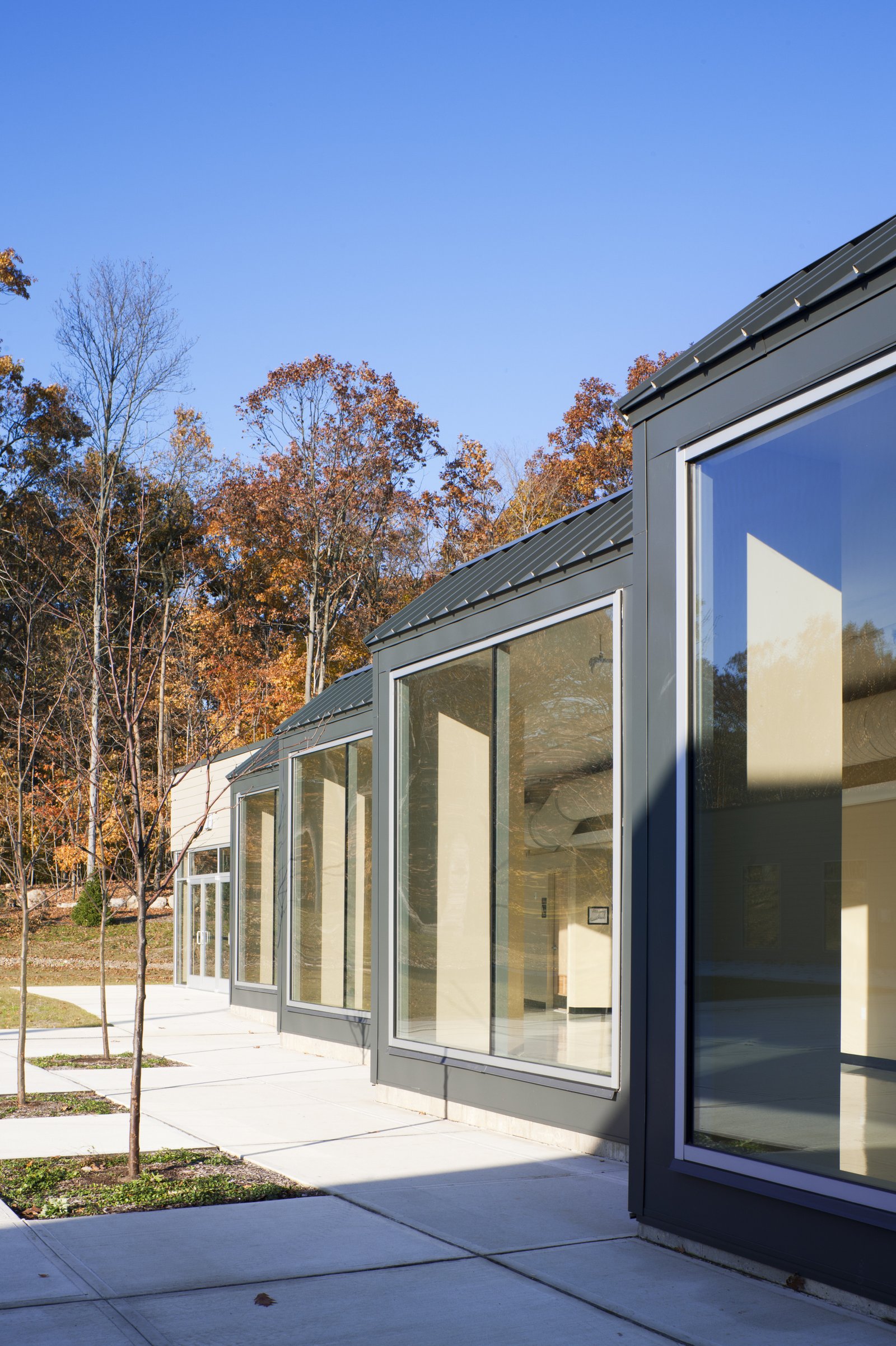 A row of large windows framed in dark metal, reflecting trees and sky along a school building.