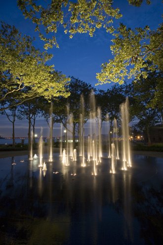 Fountain lights glow beneath tree branches at night in a tranquil park setting.