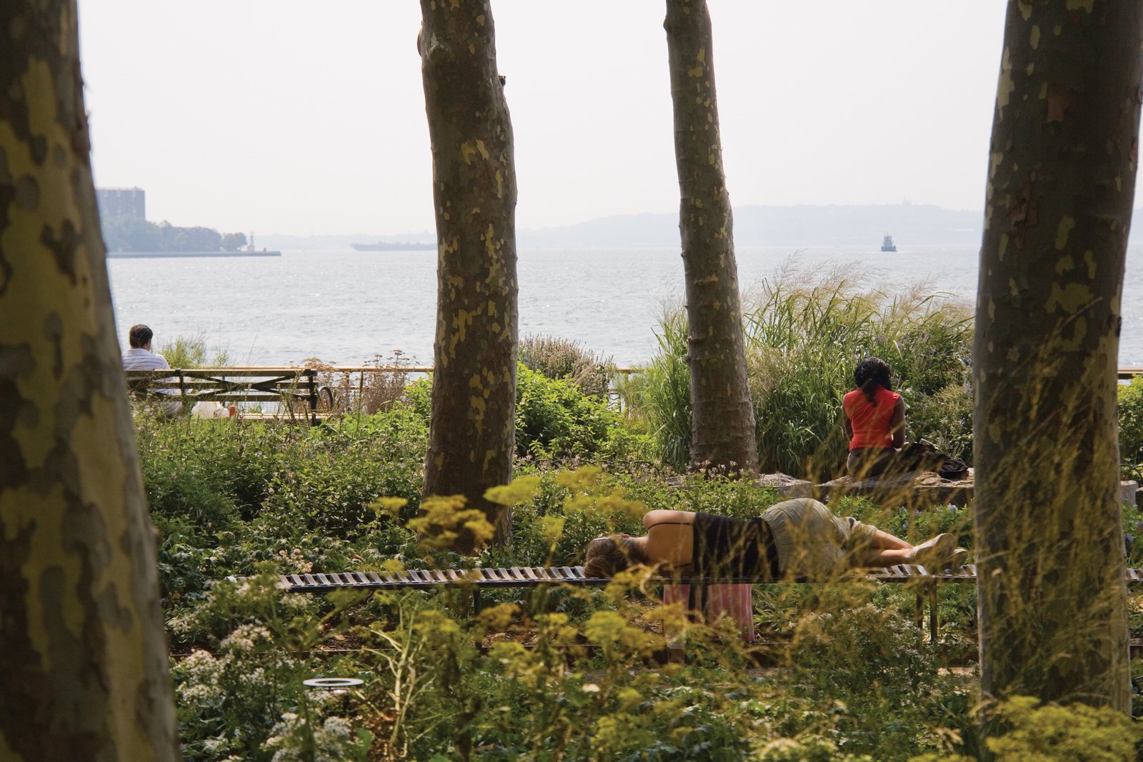 People relax on benches among trees and plants, overlooking the New York Harbor.