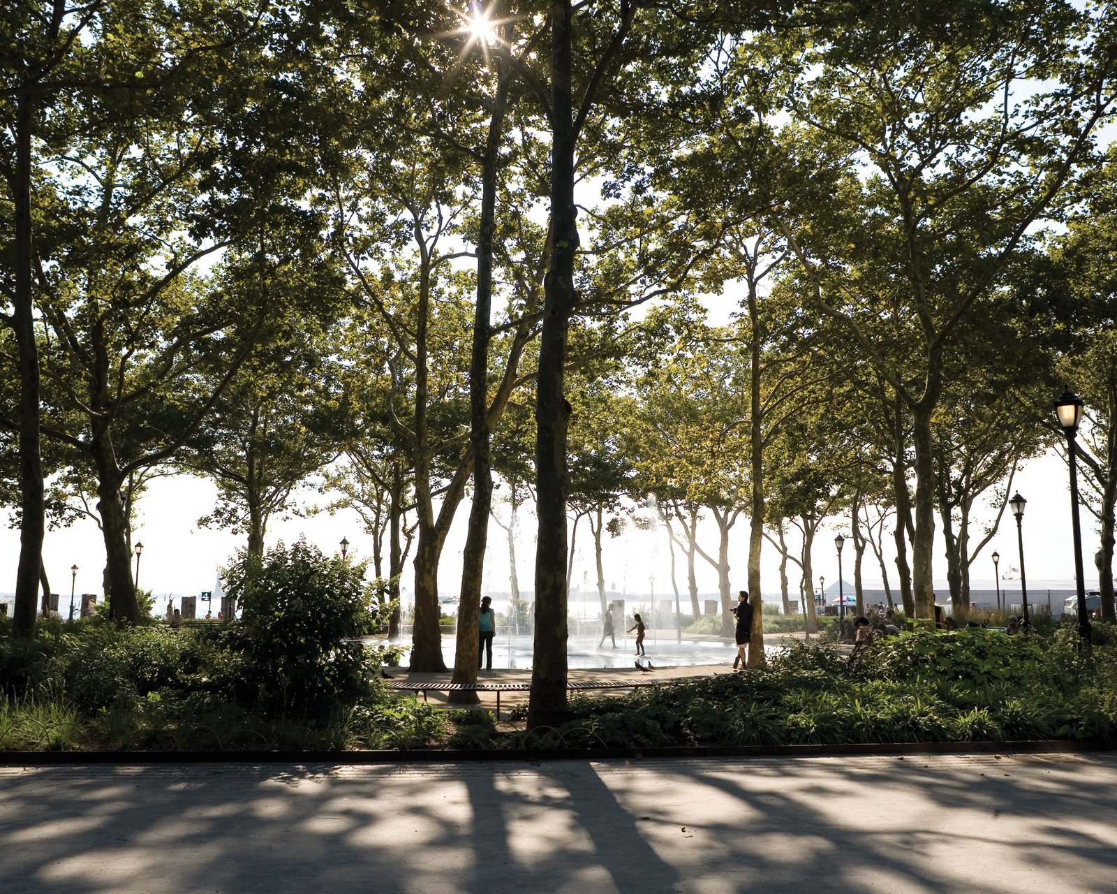 Children play in a fountain under a canopy of tall trees with sunlight filtering through.