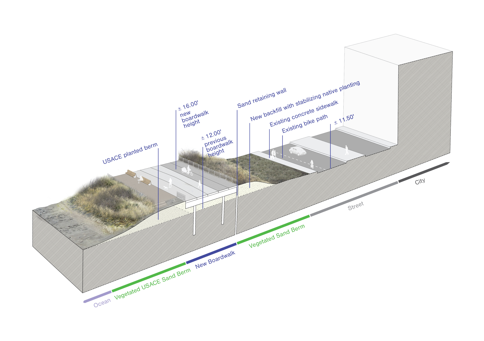 A cross-section of the Rockaway boardwalk highlights a raised structure, planted sand berms, and native vegetation for stability.