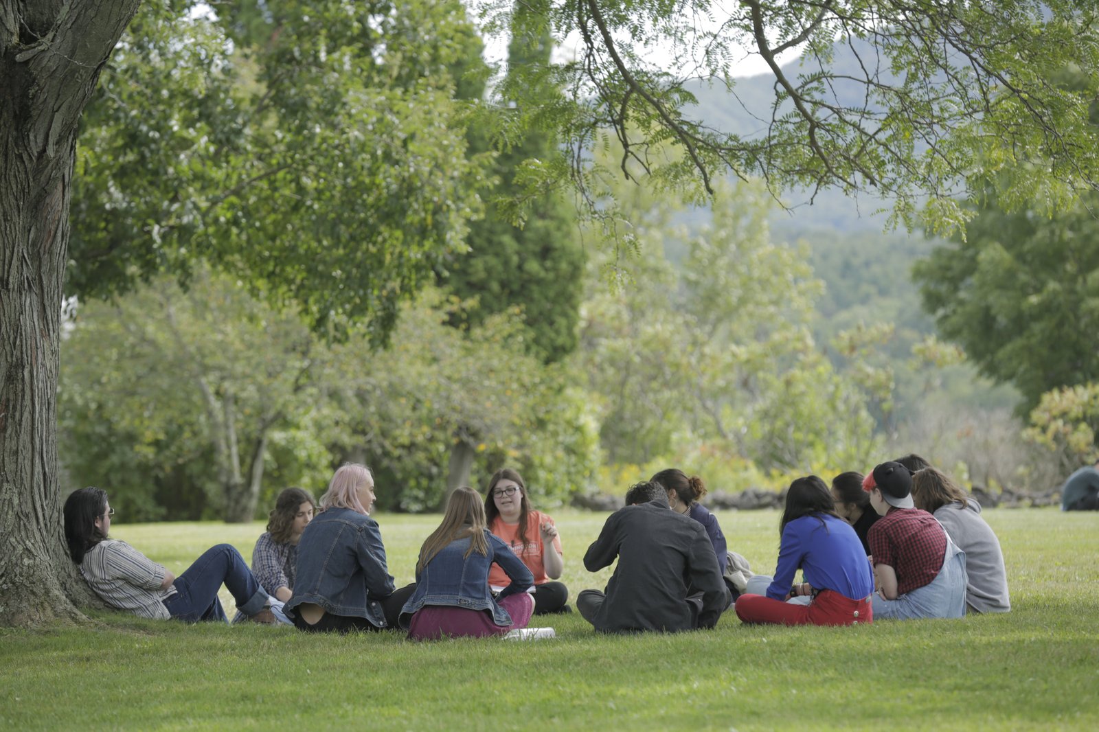 Students sitting in a circle on a grassy lawn under a tree, engaging in a group discussion.