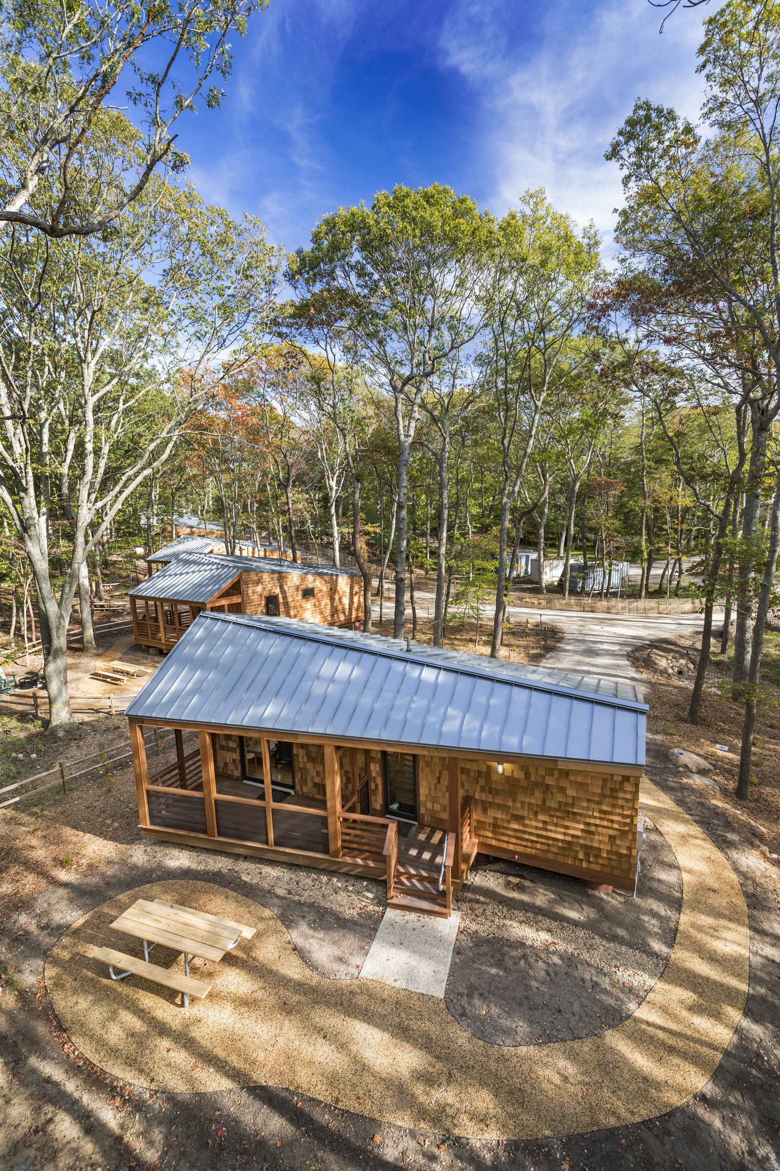 Cluster of wood-clad cabins with metal roofs nestled among trees.