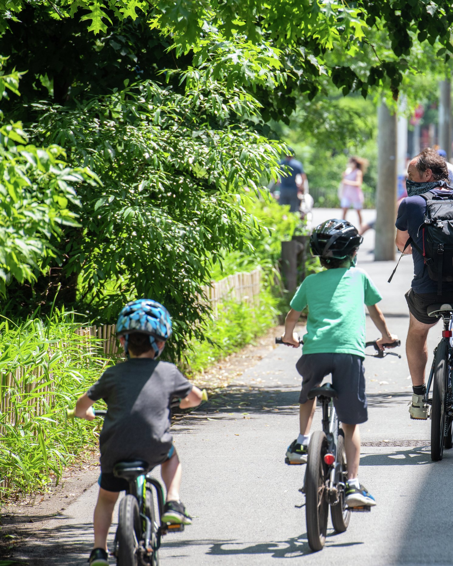 A family rides bicycles along a tree-lined greenway on a sunny day.