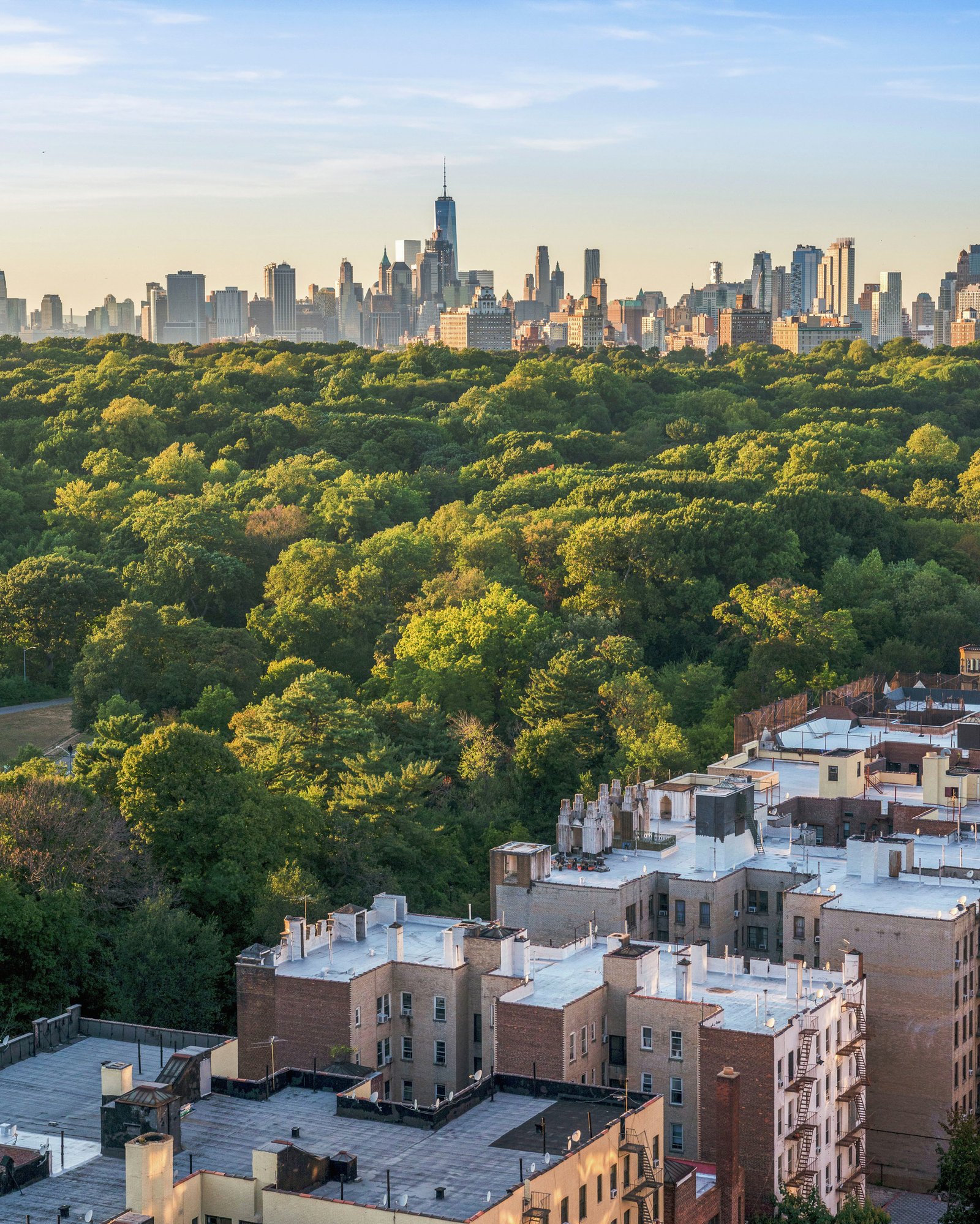 Aerial view of Prospect Park's tree canopy with the New York City skyline in the background.