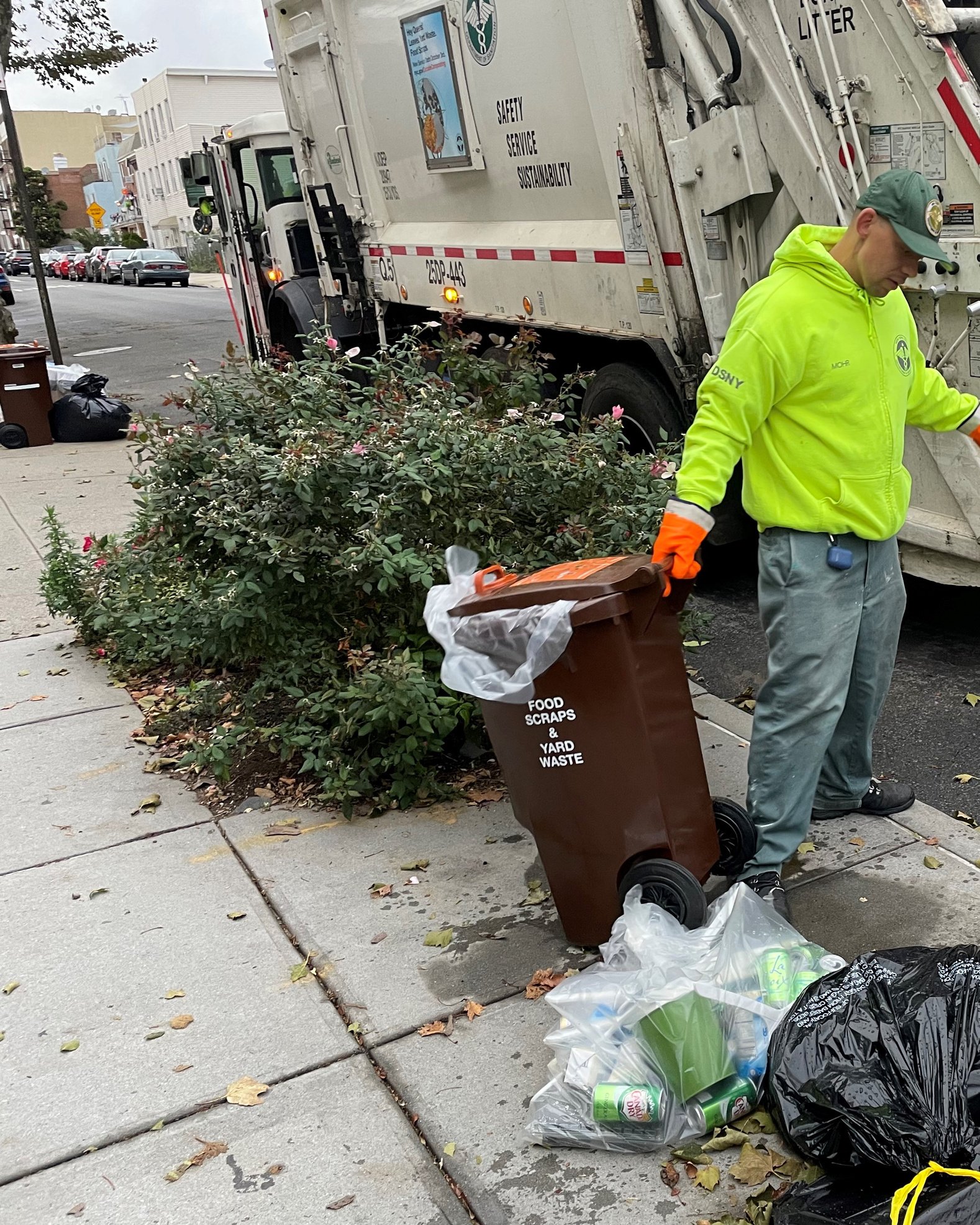 Sanitation worker collects compost bin and bags for curbside pickup.